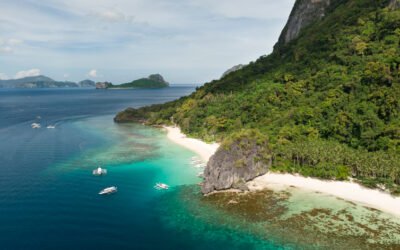 LA GUÍA DEFINITIVA DE EL NIDO