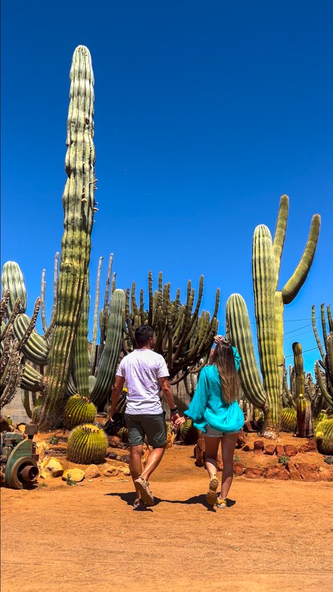 Jardín de Cactus Carnarvon