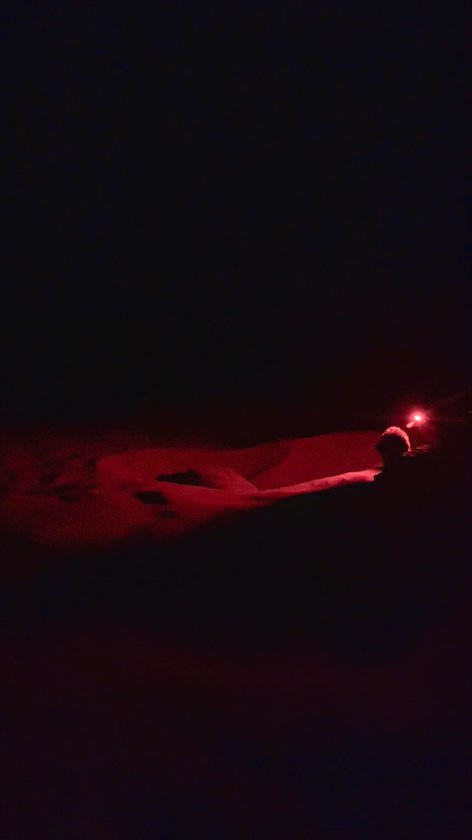 Turtle Rookery Cape Range