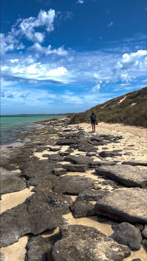 Camino a Shark Nursery