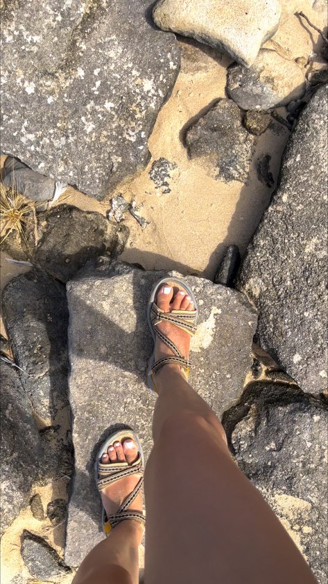 Camino a Shark Nursery