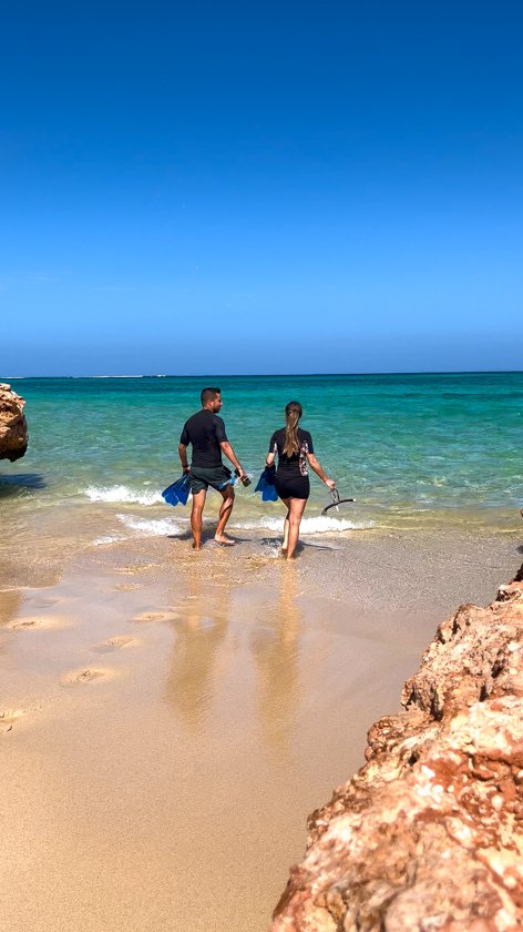 OSPREY BAY SNORKELING