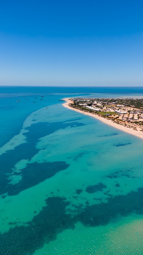 Monkey Mia Shark Bay