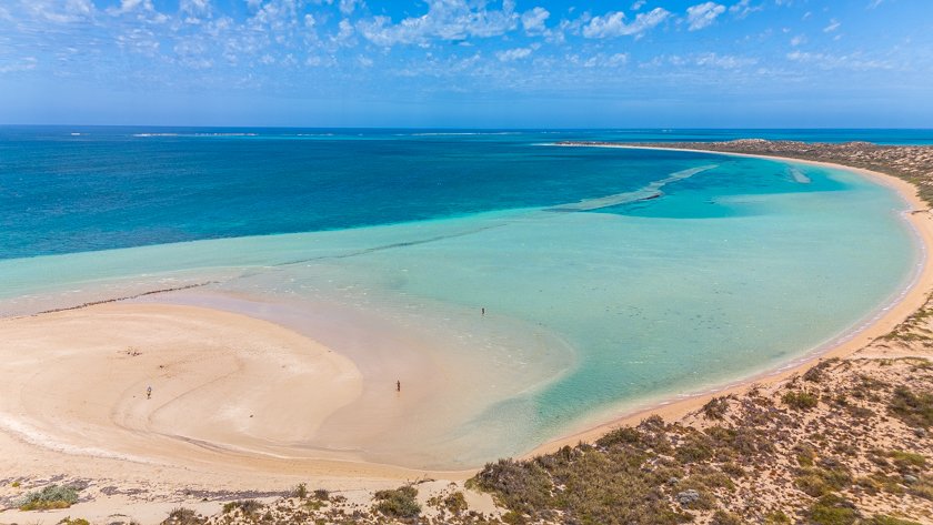 Shark Nursery en Coral Bay