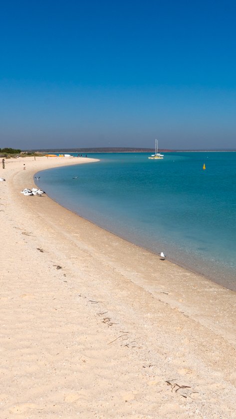 Monkey mia Shark Bay