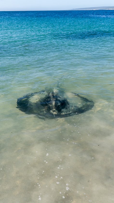 Hamelin Bay Margaret River