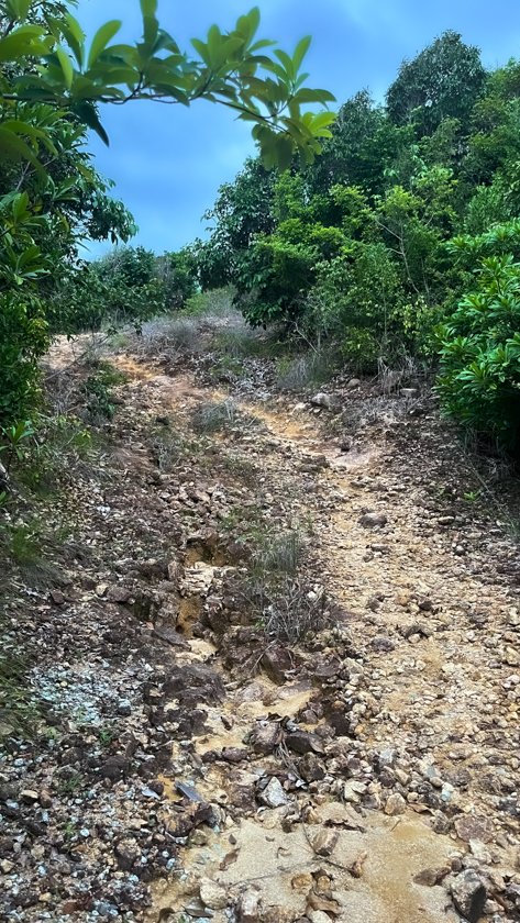 Caminos Islas Perhentian