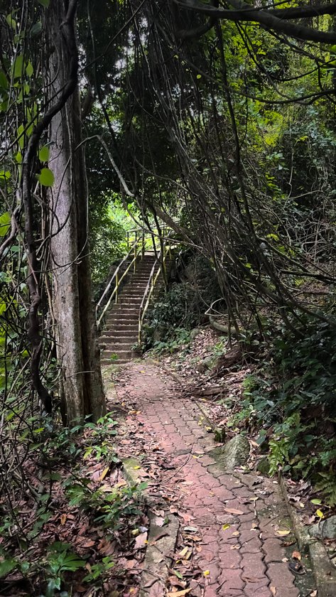 Caminos Islas Perhentian