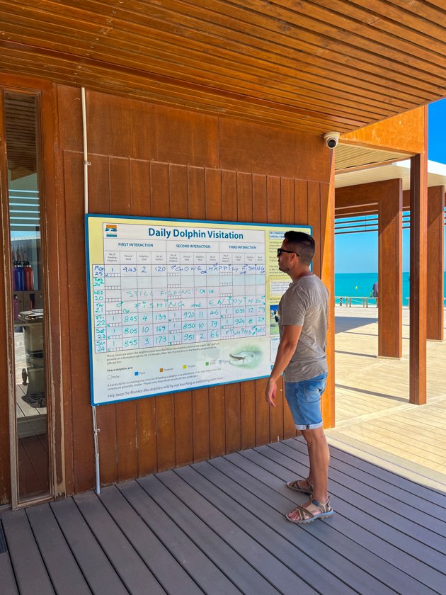 Monkey mia Shark Bay