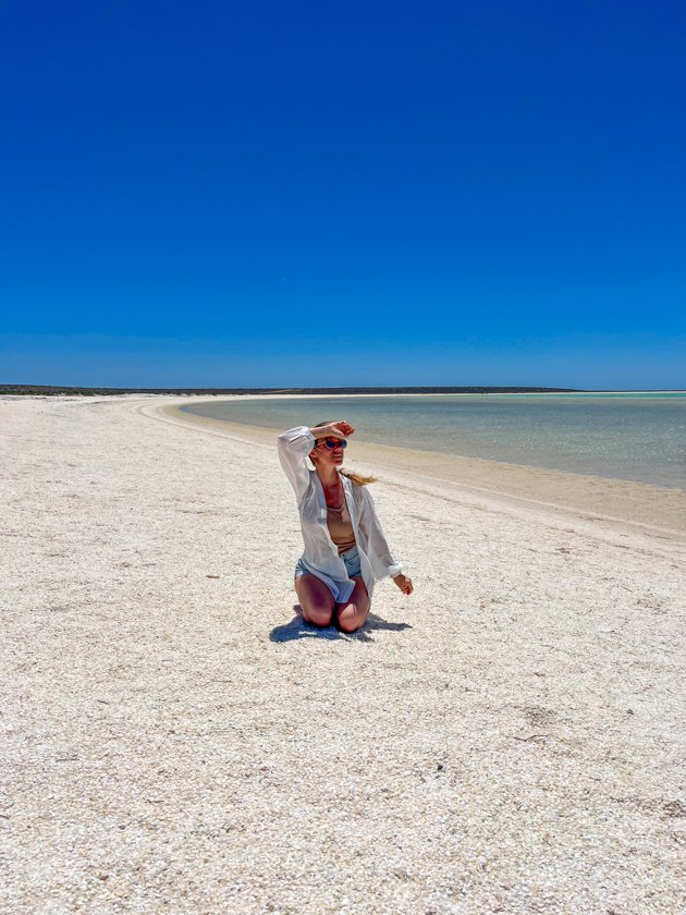 Shell Beach Australia