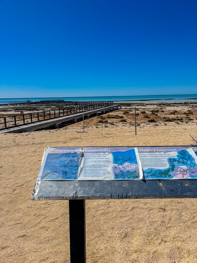 Hamelin Pool Stromatolites Boardwalk
