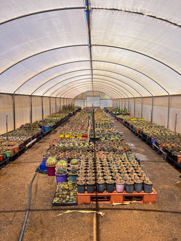 Jardín de Cactus Carnarvon