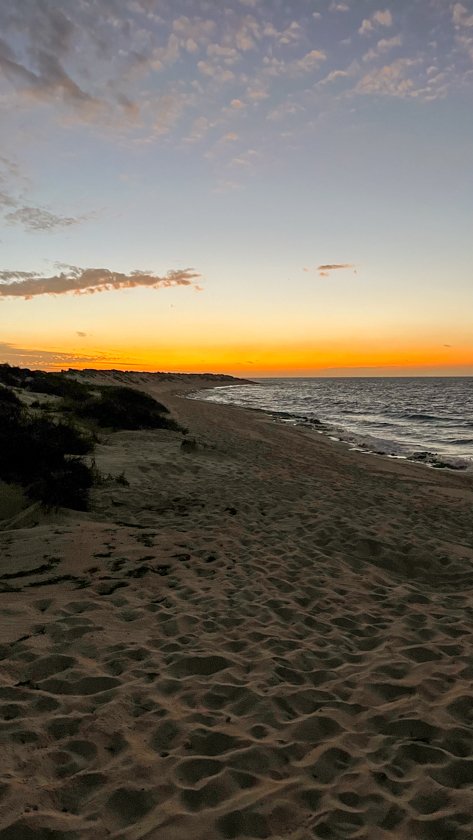 Turtle Rookery Cape Range