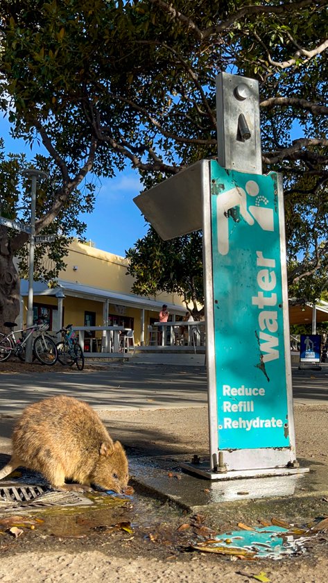 Agua en Rottnest Island
