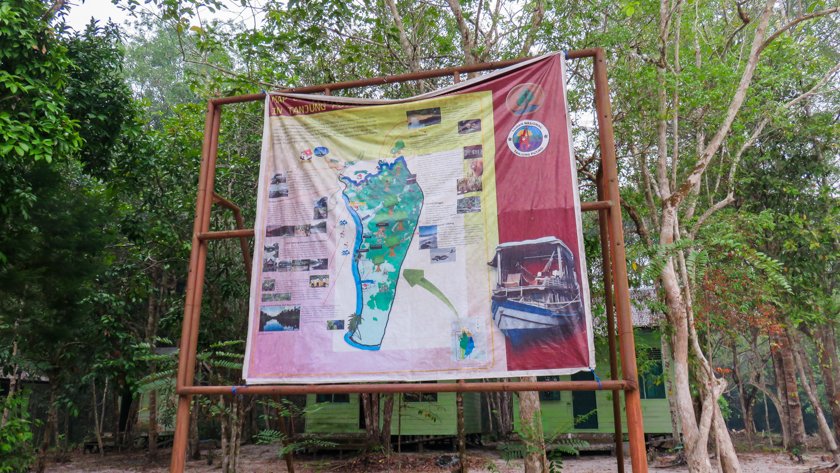 Parque Nacional Tanjung Puting Borneo