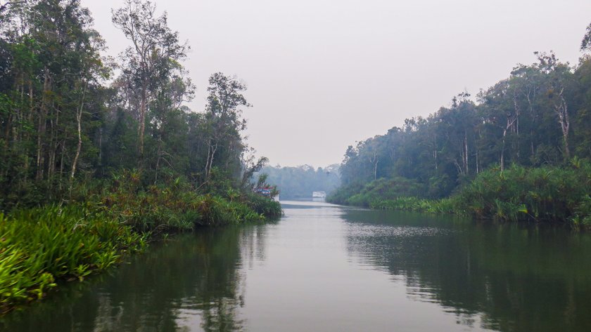 Parque Nacional Tanjung Puting Borneo