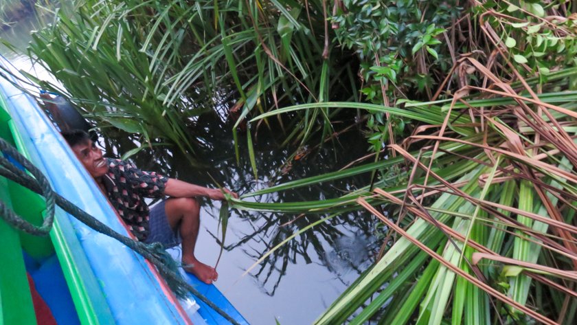 Parque Nacional Tanjung Puting Borneo