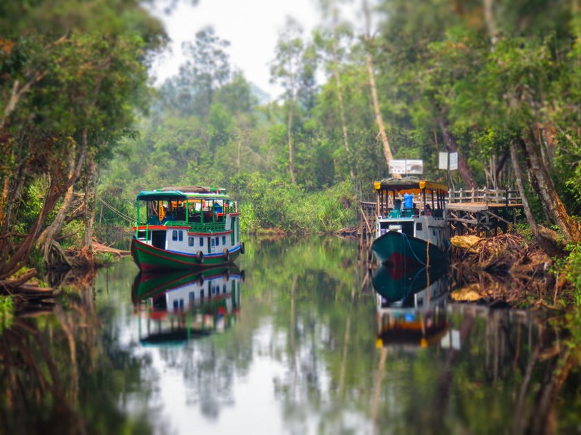KLOTOK BORNEO INDONESIA