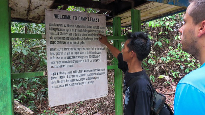 Parque Nacional Tanjung Putting