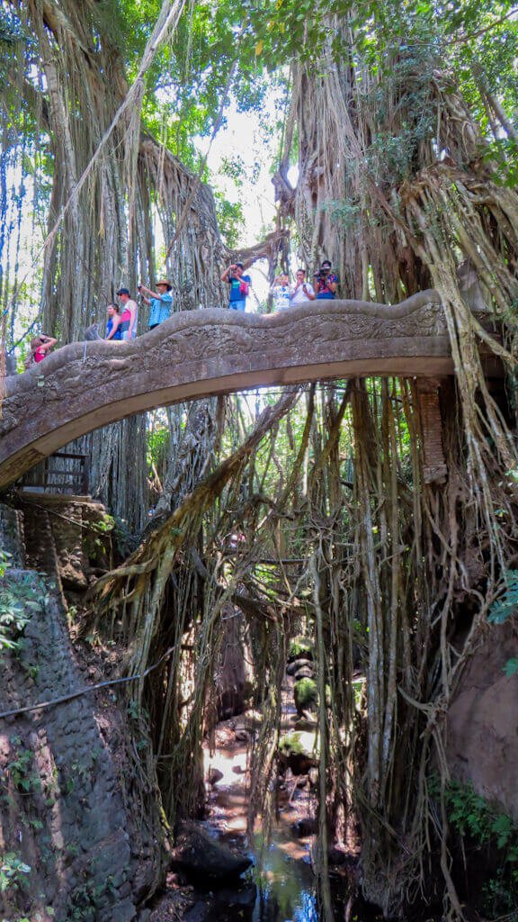 Ruta por Bali de 7 días – Puente colgante entre raíces en el Monkey Forest de Ubud