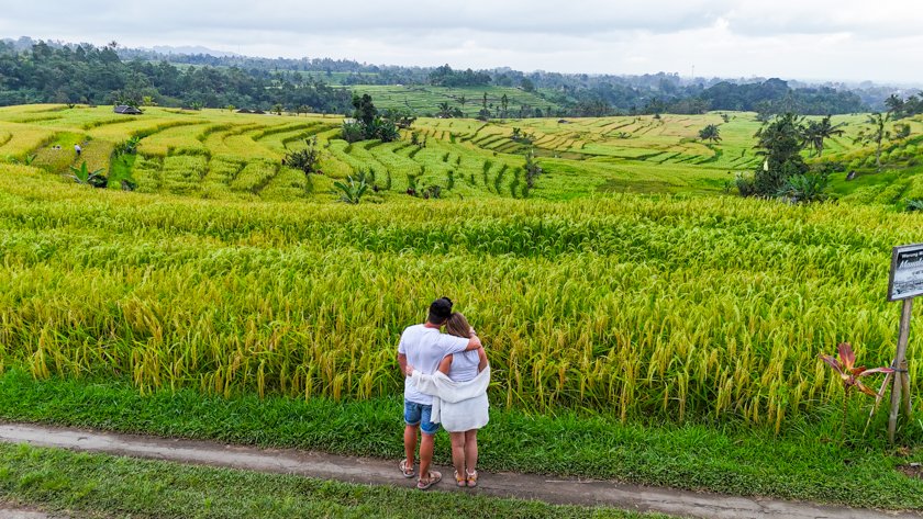 Itinerario de viaje a Bali en 7 días – Campos de arroz en Munduk Bali