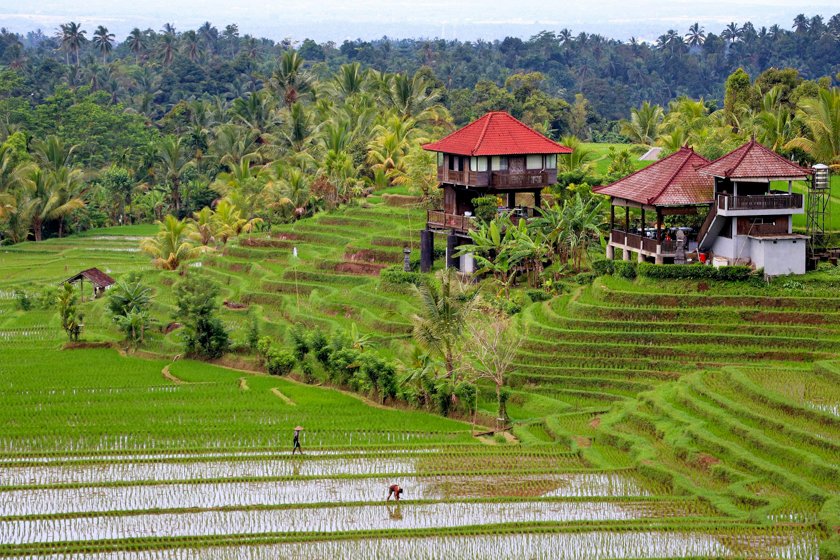 Itinerario de viaje a Bali en 7 días – arrozales sidemen Bali