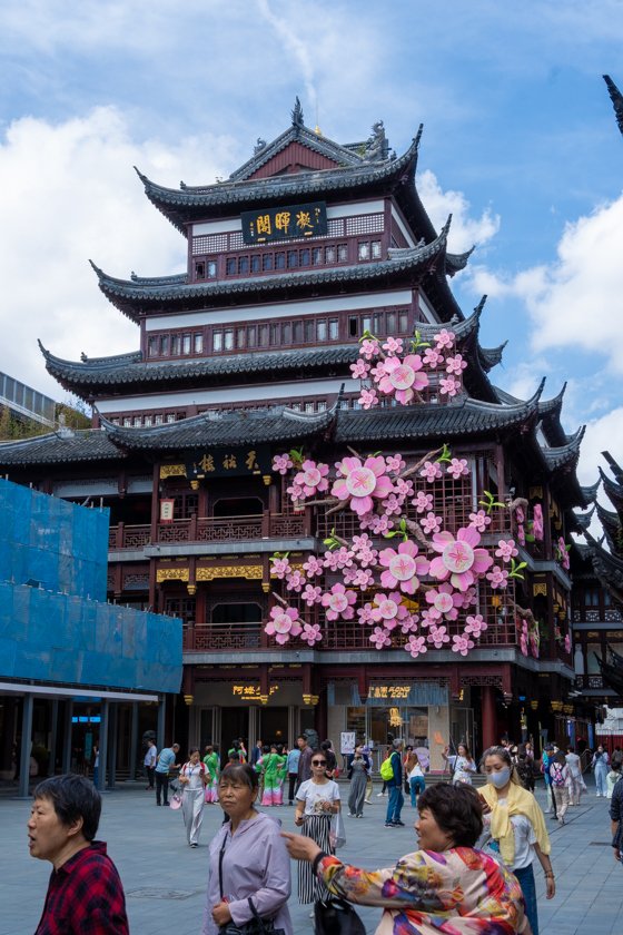 Templo Old city Shanghái rodeado de flores de sakura